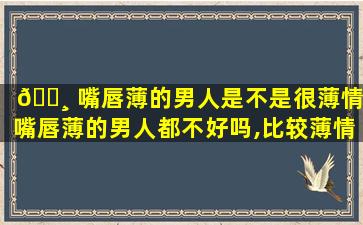 🌸 嘴唇薄的男人是不是很薄情,嘴唇薄的男人都不好吗,比较薄情花心